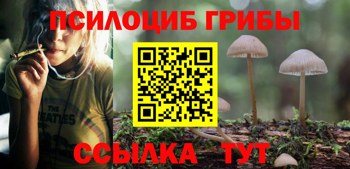 Псилоцибиновые грибы Psilocybine cubensis Казань